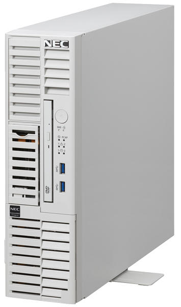 Express5800/T110m-S(B/EZ/4C/E-2414/16G/WSS2022)