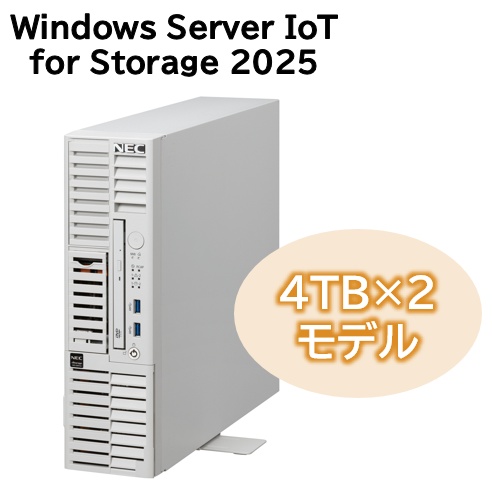 iStorage NS100Tm (Pentium Gold G7400/16GB/HDD・8TB/Windows Server IoT 2025 for Storage Workgroup Edition/タワー/3年保証)