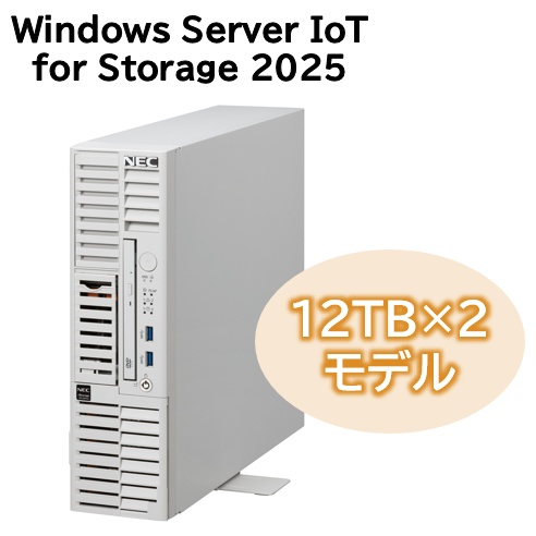iStorage NS100Tm (Xeon 6315P/16GB/HDD・24TB/Windows Server IoT 2025 for Storage Workgroup Edition/タワー/3年保証)