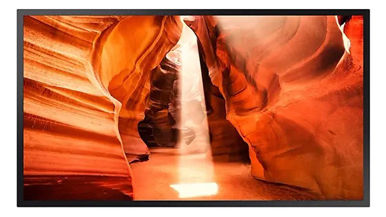 サイネージディスプレイ 55型/1920×1080/HDMI/ブラック