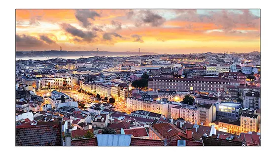 サイネージディスプレイ 55型/1920×1080/HDMI、DVI-D、DisplayPort/ブラック/スピーカー：なし