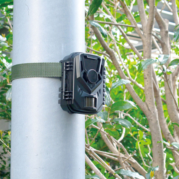 電池式センサーカメラ