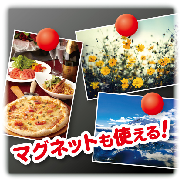 マグネット可