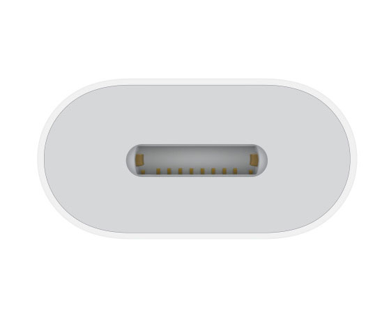 USB-C - Lightningアダプタ