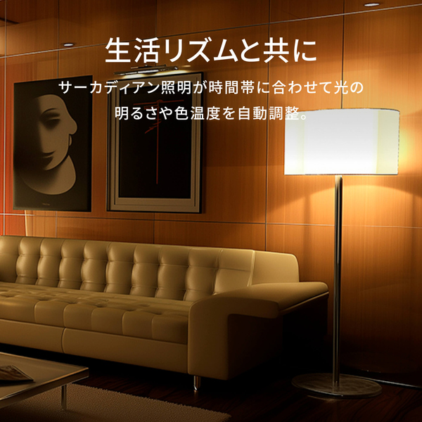 LED電球 T2 E26口金 RGB+CCT