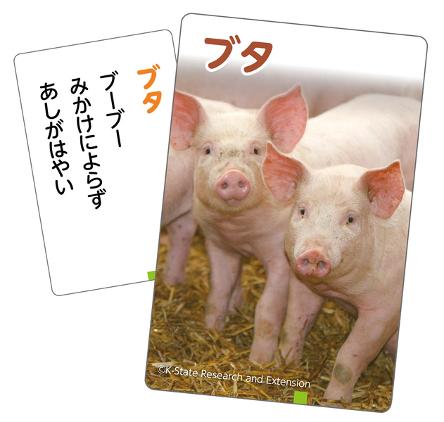 これはなんの音？かるた～いきもの～