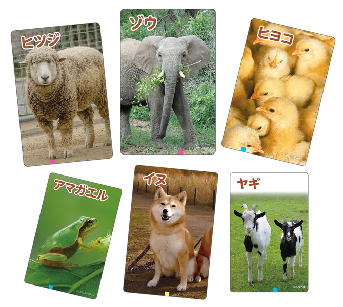 これはなんの音？かるた～いきもの～