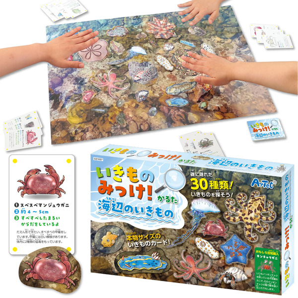 いきものみっけ！かるた うみべのいきもの