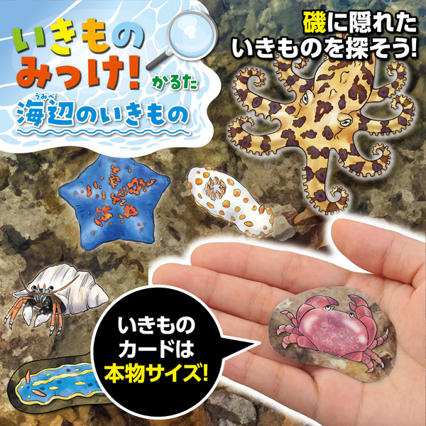 いきものみっけ！かるた うみべのいきもの
