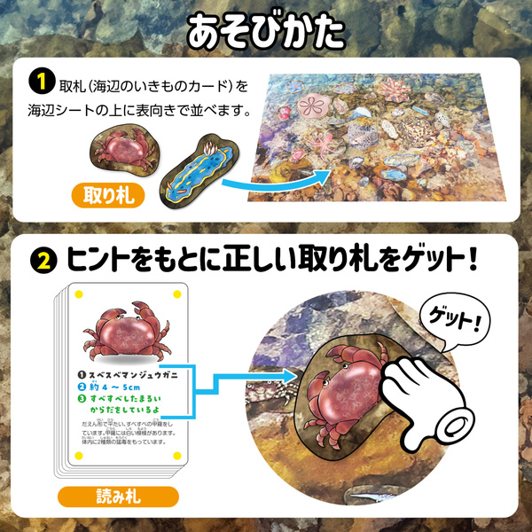 いきものみっけ！かるた うみべのいきもの