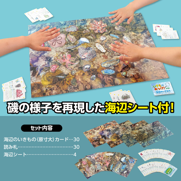 いきものみっけ！かるた うみべのいきもの