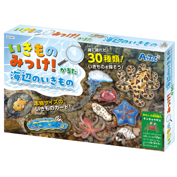 いきものみっけ！かるた うみべのいきもの