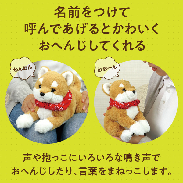 よんで！だっこして！おへんじアニマル 柴犬