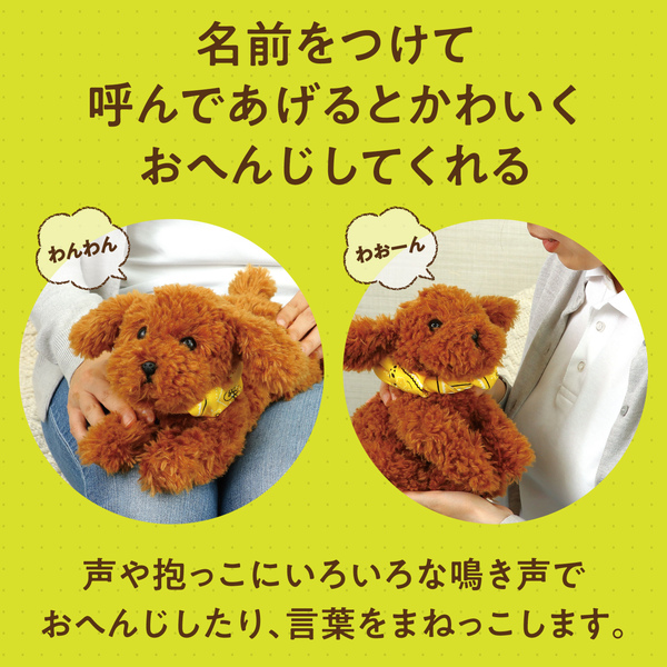 よんで！だっこして！おへんじアニマル トイプードル