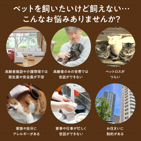 よんで！だっこして！おへんじアニマル トイプードル