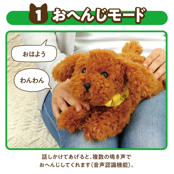よんで！だっこして！おへんじアニマル トイプードル