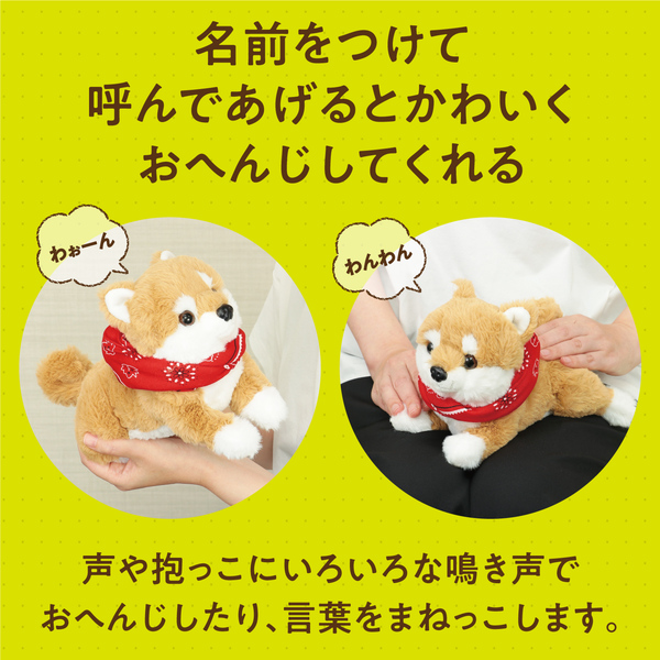 よんで！だっこして！おへんじアニマル2 柴犬