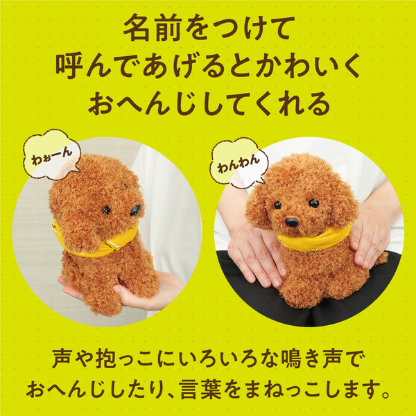 よんで!だっこして!おへんじアニマル2 トイプードル
