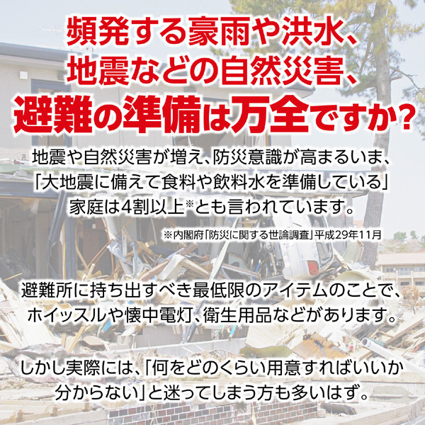 大容量バッグ防災セット47点