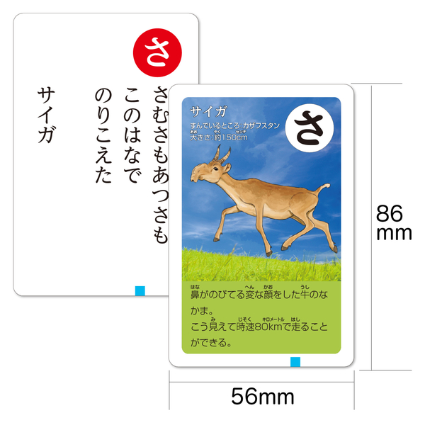 変ないきものかるた