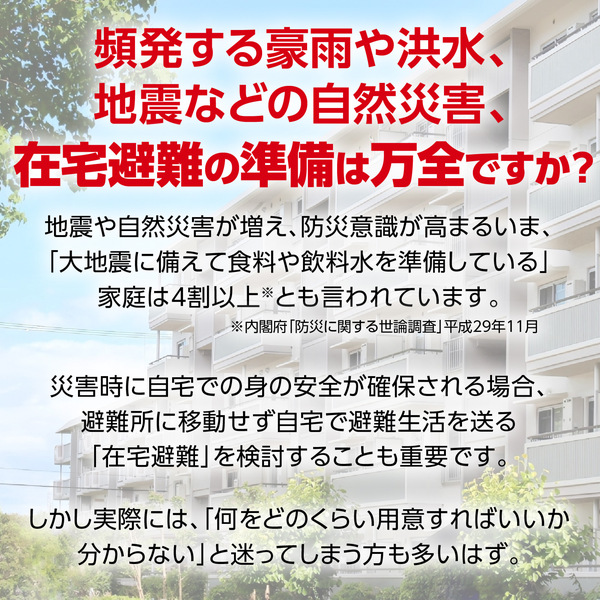 家庭用防災セット 2人用