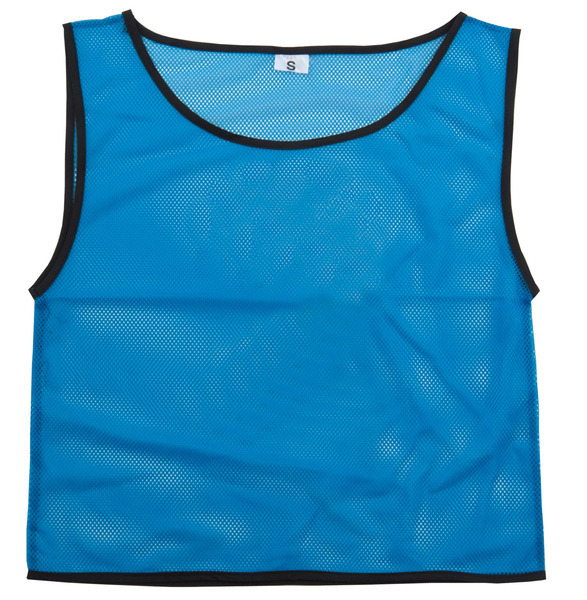 チームベスト 小（無地） 青