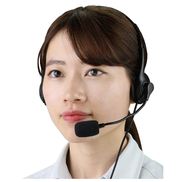 ヘッドセット（USBタイプ）