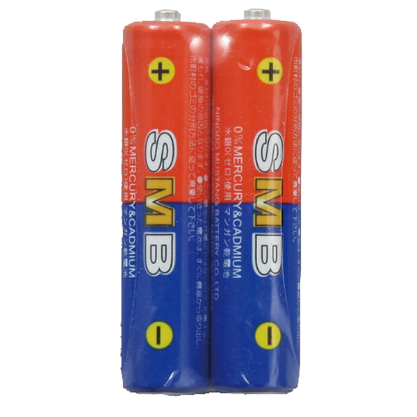 理科教材電池 単4（2本組）