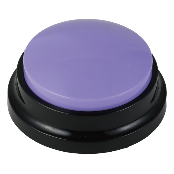 RECプッシュ パープル