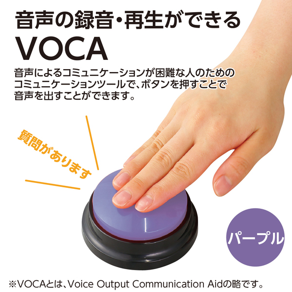 RECプッシュ パープル