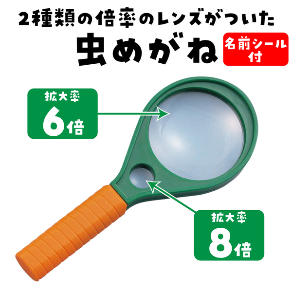 虫メガネ 中