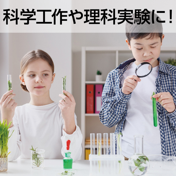 豆電球 (1.5V) 50個