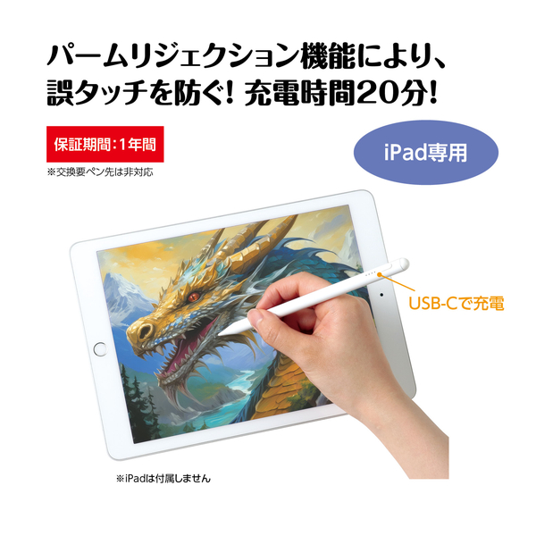 スタイラスペン Type-A to C for iPad 02 ver2
