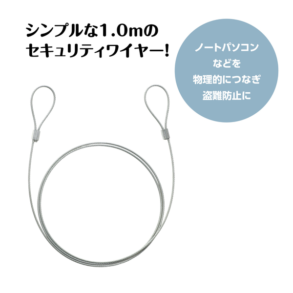 セキュリティワイヤー ワイヤーのみ 1m