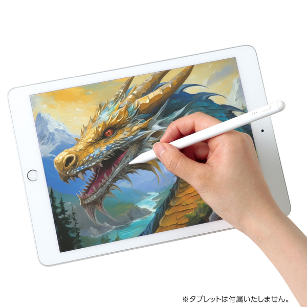 スタイラスペン Type-C to C 急速充電(for iPad)01
