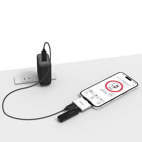 スマホ・タブレット向け USB-C 2ポートハブ PD対応 ホワイト
