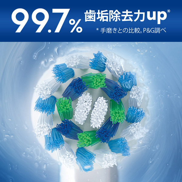電動歯ブラシ 充電式 PRO1 カリビアン