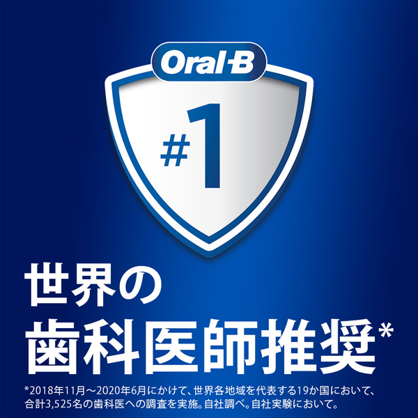 電動歯ブラシ 充電式 PRO1 カリビアン