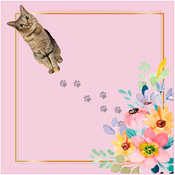 KURUMU ～中身の形に合わせて変幻自在に包む布～ おさんぽ猫