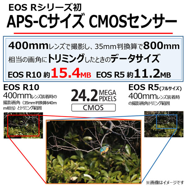 ミラーレスカメラ EOS R10・18-45 IS STM レンズキット