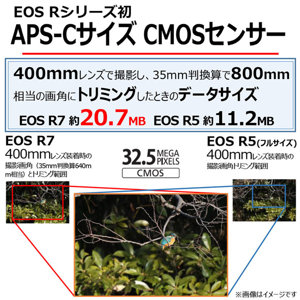 ミラーレスカメラ EOS R7・18-150 IS STM レンズキット