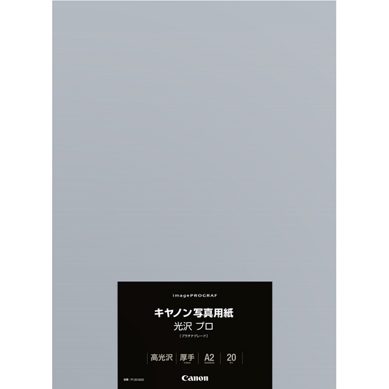 写真用紙・光沢 プロ[プラチナグレード] PT-201 A2 20枚