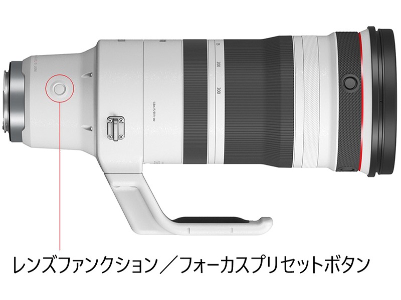 RF100-300mm F2.8 L IS USM