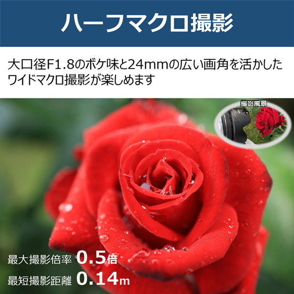 RF24mm F1.8 MACRO IS STM