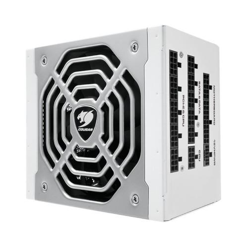 POLAR X2 1050/フルモジュラー式 1050W電源ユニット/ホワイト/80PLUS Platinum/ATX 3.1準拠/12V-2x6コネクター搭載/各種保護機能/10年保証