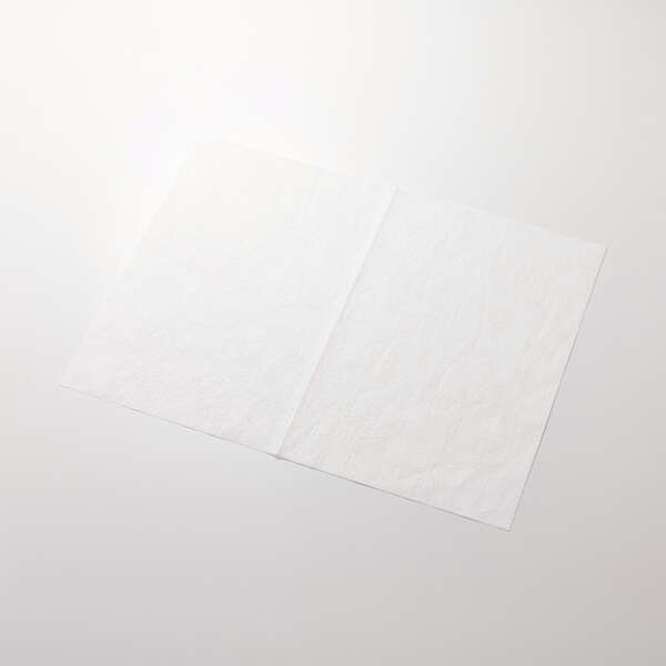 ウェットティッシュ/TV用/ピロー/10枚