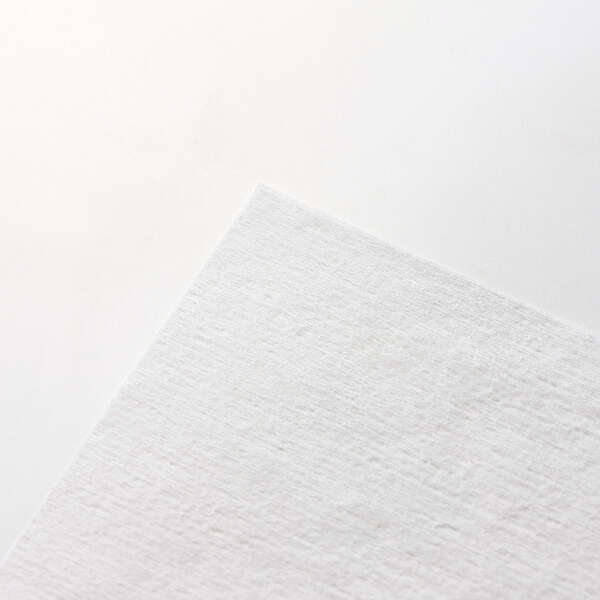 ウェットティッシュ/TV用/ピロー/10枚