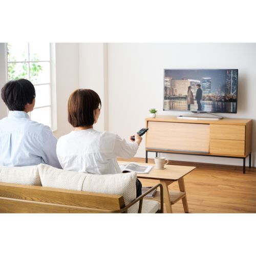 かんたんレコーダー用リモコン/4メーカー対応/ブラック