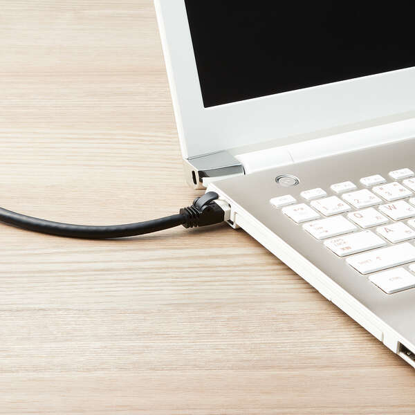 LANケーブル/PS5対応/CAT6A準拠/爪折れ防止/3.0m/ブラック