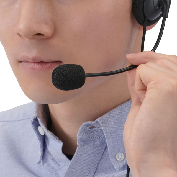 有線ヘッドセット/オーバーヘッド型/マイクアーム付き/USB-A/USB Type-C変換ケーブル付属/左耳/ブラック